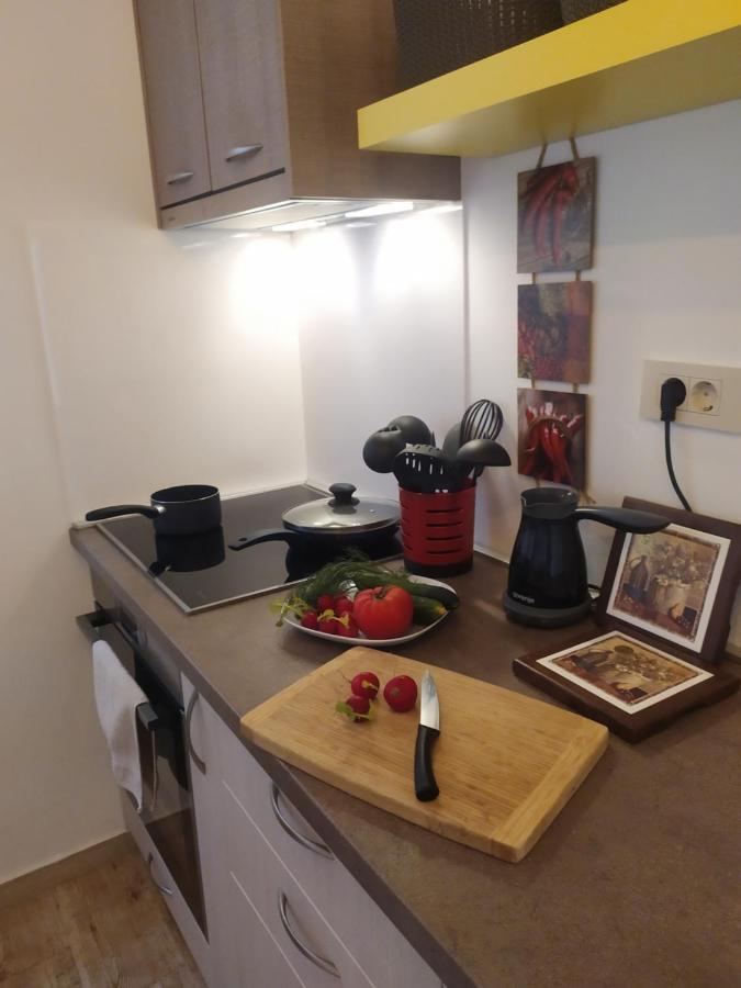 니비체 Aurora House Duplex 아파트 외부 사진